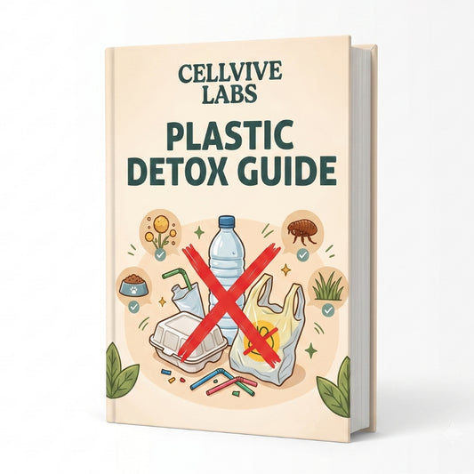 Plastic Detox E-Book